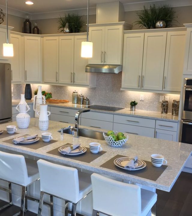 pelican_white_vip_kitchen_bath_quartz (6)